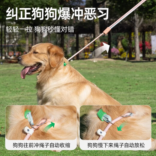 Qi Oh dog leash P rope explosion-proof and anti-breakaway medium and large dogs and small dogs leash collar collar dog walking artifact gradient blue bold - pull out the guarantee