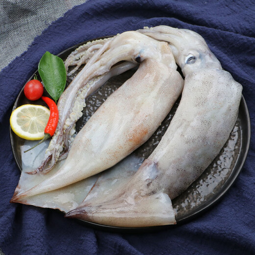 Dongshang Yupin Shandong Fresh Frozen Three Open Back Large Squid 5Jin Jin is equal to 0.5kg Net Weight Teeth Removed, Head Removed and Guts Removed New Year's Goods-Straight from the Source