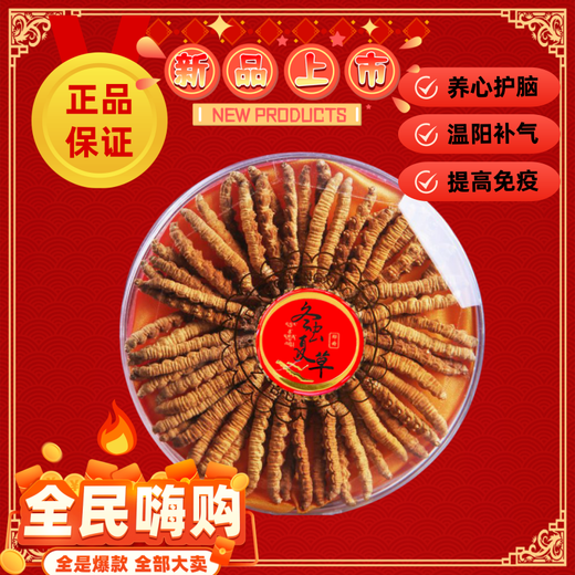 Cordyceps sinensis (10 % Rabatt auf jede Fälschung) Cordyceps sinensis-Geschenkbox, Nahrungsergänzungsmittel, frische Cordyceps-Tonika, Gesundheitsprodukte, tibetisches Nagqu 3 Stück/Gramm Cordyceps 50 Stück-Geschenkbox.