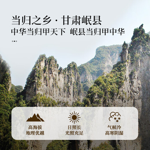 同仁堂（TRT）当归片无硫甘肃岷县当归干切片泡水煲汤泡酒滋补养生茶100g/罐