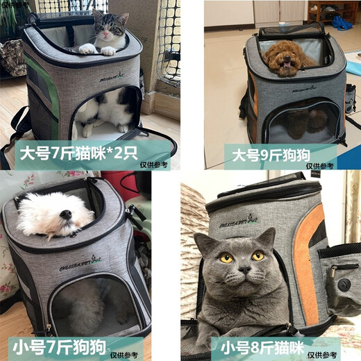 Small Breathable Cat Bag Outdoor Pet Backpack Cat Dog Teddy Rabbit Portable Bag Small Dog Cat Backpack Gray Green-Small Small (Recommended 10Jin Jin is equal to 0.5kg) Small Breathable Cat Bag Outdoor Pet Backpack Cat Dog Teddy Rabbit Portable Bag Small Dog Cat Backpack Gray Green-Small Small (Recommended 10Jin Jin is equal to 0.5kg)