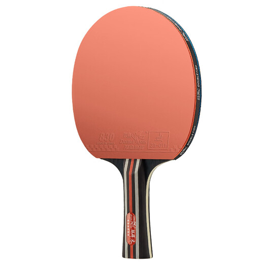 Pisces table tennis racket horizontal racket professional competition grade six-star anti-adhesive arc combined with fast attack speed power type including racket package Champion Professional Edition horizontal single racket including ball + racket bag