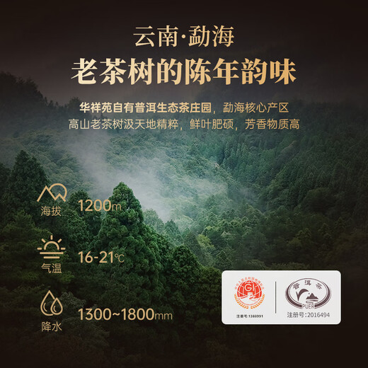 华祥苑茶叶 普洱熟茶3年陈勐海普洱小金砖自饮口粮装160g
