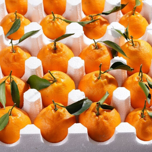 三萌果蔬四川春见耙耙柑 新鲜橘子桔子丑柑水果时令应季孕妇水果 5斤装【家庭分享｜一周美味】净4.5斤 【尝鲜果】高性价比丨单果70-80mm