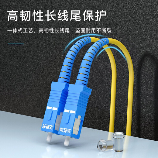 达胜光 电信级光纤跳线 SC-SC单模单芯 低烟无卤光纤线 收发器尾纤连接线 20米3.0 DSG-SUSU20S