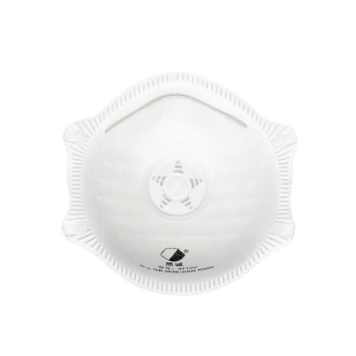 Zhicheng 9710v Cup Maske KN95 Runde staubdichtes industrielles Anti-Smog-Kopf-Anti-Droplet-Dekorationsspray-Spray-Spray-Sprühfarbe ohne Make-up-Ventil-freie Sanqi-Arbeitsschutzprodukte 6 Teile-eine Schachtel