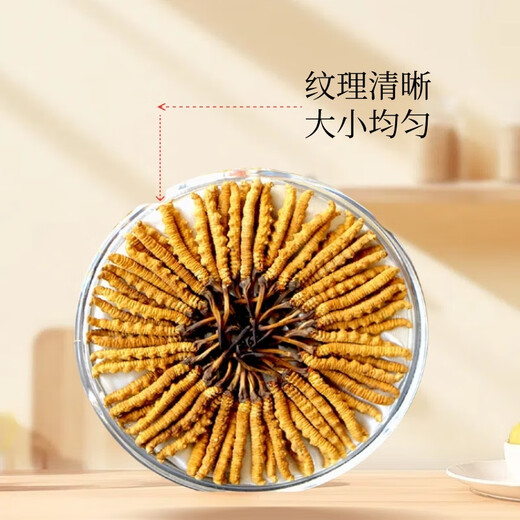 Ausgewählte Cordyceps sinensis cordyceps sinensis hoher Höhe des Kopfstadiums Cordyceps sinensis Geschenkbox verfügbar. 3 1 Gramm Cordyceps sinensis in Tibet Nago Cordyceps sinensis 10 Stück