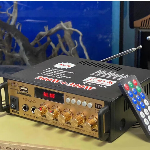 Starklok迷你小型功放机音箱功率放大 插卡U盘收音直流车载(12伏220V)功放 金色