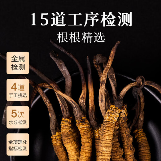 Tongrentang brand Tibet wild Cordyceps sinensis about 3 roots/g12g about 36 high-end Cordyceps gift boxes for elders