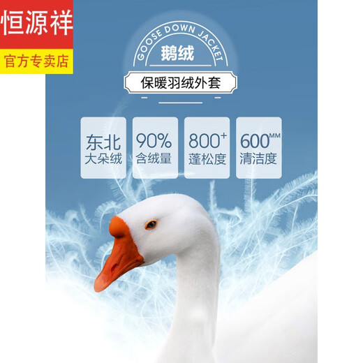 恒源祥男士羽绒服2025新款连帽可拆卸鹅绒服纯色商务休闲冬季保暖外套 9755黑色 中长款 175/92A L