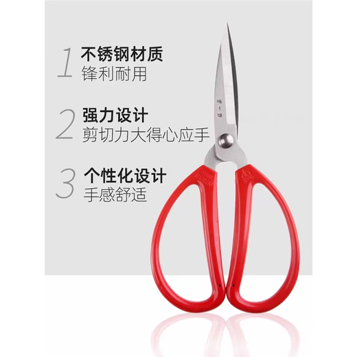 Zhang Xiaoquan tijeras de acero inoxidable tijeras para el hogar tijeras pequeñas hechas a mano corte de papel corte de hilo cocina punta especial tijeras para el hogar HBS-125 extra pequeño