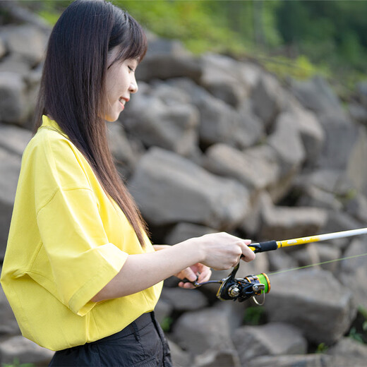 达亿瓦（DAIWA）达亿瓦24一击绚GL-X路亚泛用竿远投翘嘴海鲈竿鳜鱼杆 682m 石英白-LXB2.03米2节中软