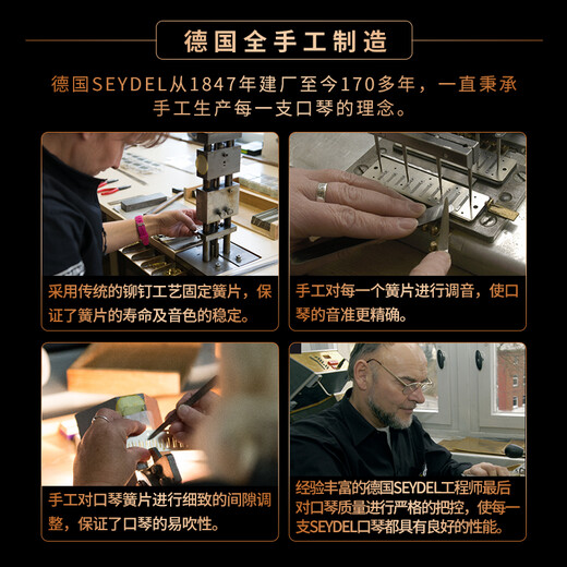 SEYDEL德国进口SEYDEL赛德 十孔10蓝调成人口琴 1847 CLASSIC 10孔LC调
