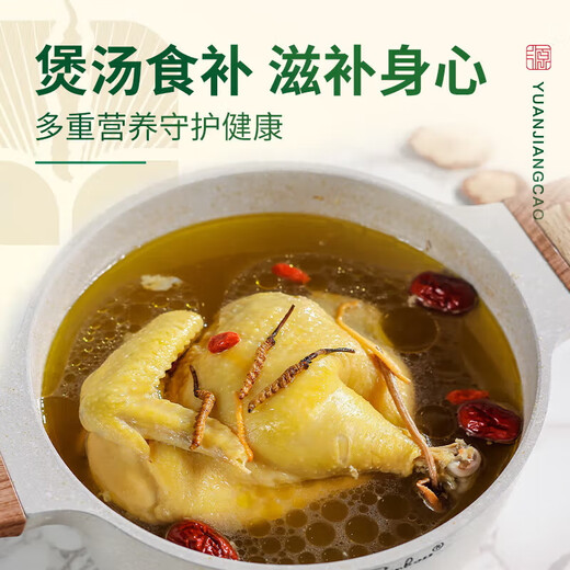 源江草冬虫夏草 新干虫草滋补品送父母长辈滋高端礼盒 3根/g 20克【滋补量装】
