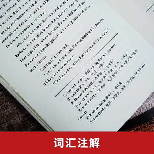 老人与海 英汉对照注释版 赠中英文双语音频 中文版 英文版 世界名著畅销小说权威足本 中英文对照双语版-振宇书虫