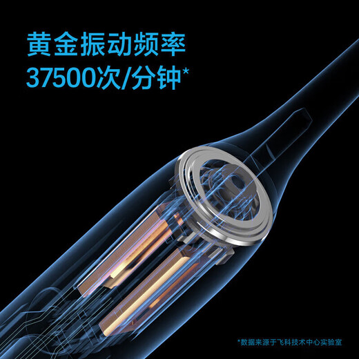 FLYCO Adult Electric Toothbrush, Symphony Series, Couple Model, Intelligent Sonic Vibration, Deep Cleaning, Gum Protection, Soft-bristled Toothbrush, Birthday Gift for Boy and Girl, Chinese Valentine's Day, 2 Pack for Couples, FT7105 Deep Sea Blue + Romantic Pink