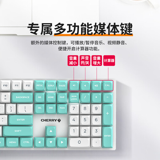 CHERRY cherry KC200 mechanical keyboard, office and game dual-purpose keyboard, computer keyboard, mechanical, pink color block custom keyboard, PBT keycap, wired keyboard, tea shaft