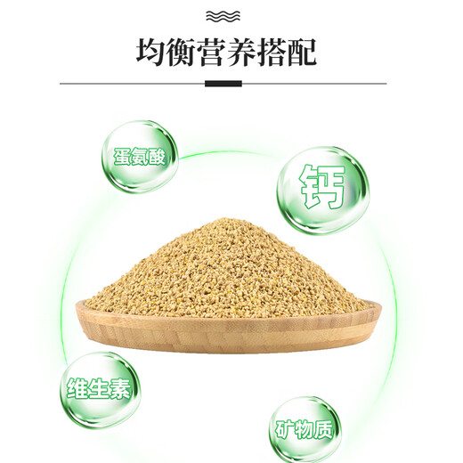 Huiqianfang chick feed chicks poultry open grain rutin chicken young yellow duck large quail premix medium granular food 10 bags