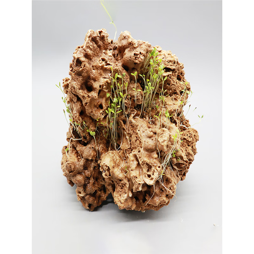 Landscape absorbent stone rockery bonsai natural landscaping raw stone rockery stone courtyard rockery natural raw stone garden stone