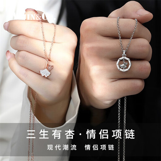 Yijin Sansheng Youxing Couple Necklace 999 Sterling Silver Pair of Necklaces for Women Summer 2025 New Chinese Valentine's Day Gift for Boy and Girlfriend Women's Platinum (999 Silver)