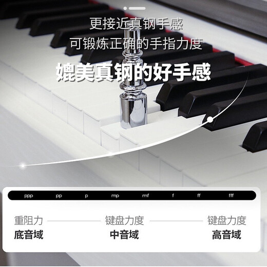 探律（TANLV）钢琴电钢琴88键重锤专业成人初学者幼师儿童家用立式数码电子钢琴 T01木纹白-重力度键-多功能APP