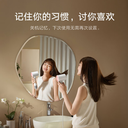 米家【七夕情人节礼物】小米高速吹风机H501 SE家用吹风筒 掌中小旋风 疾速干发大功率负离子护发 白色
