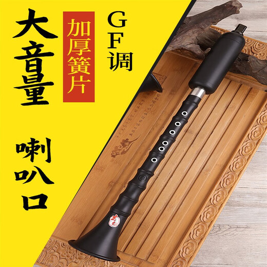 巴乌乐器竖吹演奏小学生初学入门大音量G/F调 单管乐器定制款 F调+包+指法表