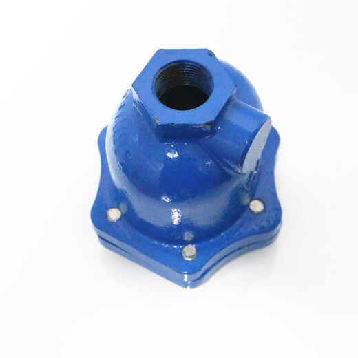 Emike Micro Auspuffventil 9708 Gusseisen Edelstahl Innenteile Automatische Entladung WP1X vertikal mit allgemeinem Auspuff 15-50 Mikroabgasventil DN20 ausgestattet