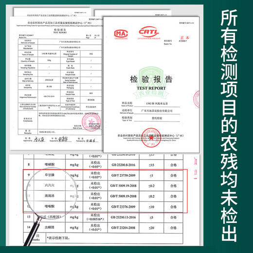 天池茶叶凤凰单丛乌龙茶老枞水仙高山有机单枞茶春茶新茶罐装送长辈 老枞水仙 100g*1罐
