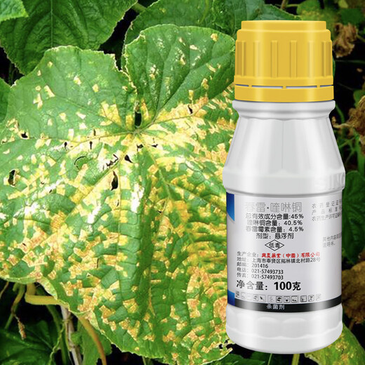 Xingnong Yongfu 45% Kasugamycin Quinoline Copper Xingnong Citrus Canker Watermelon Bacterial Angular Spot Fungicide Pesticide 1000g