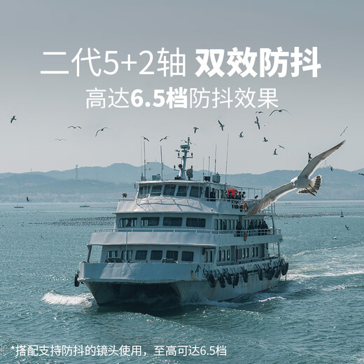 Panasonic S5K (Panasonic) full-frame mirrorless camera digital camera mirrorless kit (20-60mm) approximately 24.2 million effective pixels 5-axis anti-shake dual native ISO