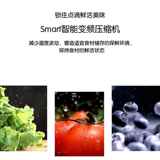 LG风冷无霜655升对开门S651SW16冰箱 智慧变频 电脑控温 速冻恒温 