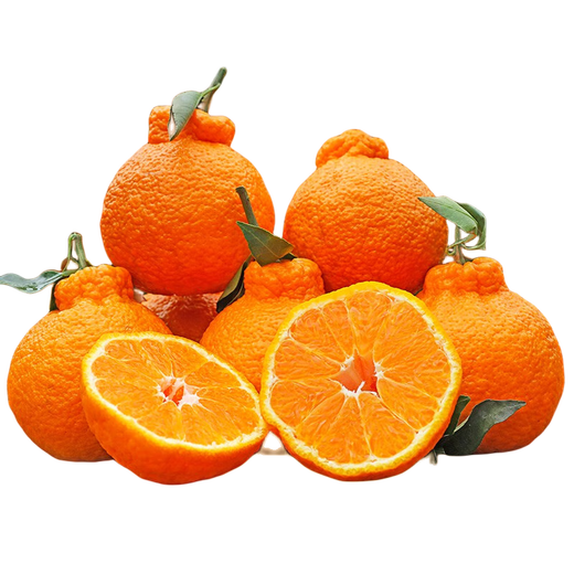 Moisturize the taste and come to Sichuan Wuzhihuo Chou Orange Fresh Seasonal Fruit Gift Box Big Fruit Chou Orange Eight Strange Orange Rake Orange Rake 6Jin[Jin equals 0.5 kg] Gift Box Pack