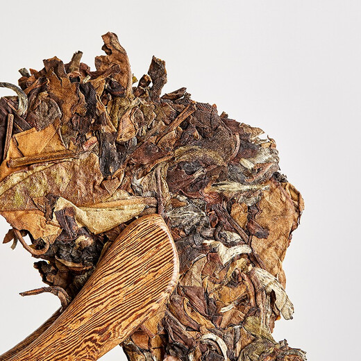 Zhengfeng 2022 Qibingmanxingliang White Tea