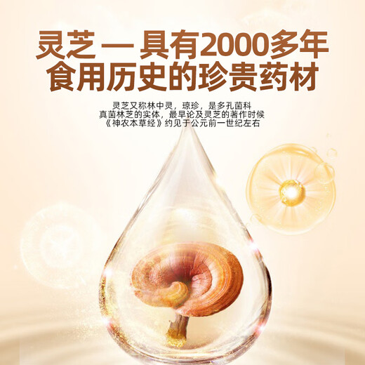Li Shizhen's Breaking Wall Ganoderma lucidum Spore Powder Enhances Immunity Visiting Gift 2 Boxes 50g (Single Box 1g*25 Bags)