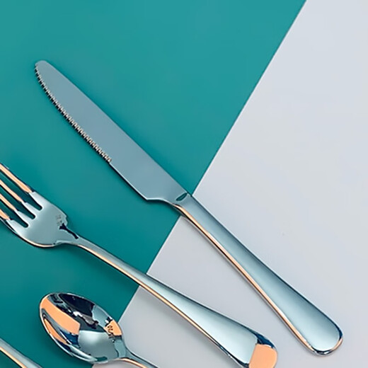 DAYZEAL304 stainless steel western restaurant knife and fork spoon 420 steak knife breakfast buffet tableware 838 series knife and fork spoon main dining knife 22.1*1.8cm 12 packs