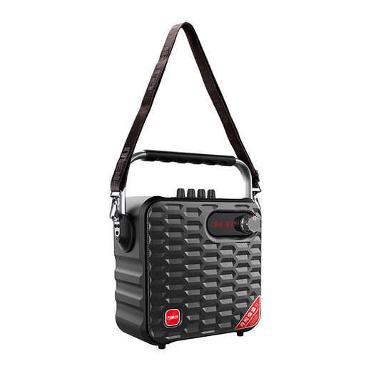 Malata household electric acoustic guitar folk singing instrument speaker mini portable audio subwoofer outdoor square dance performance street multi-function Y5S