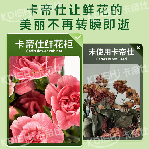 Kadish flower shop commercial flower preservation cabinet large capacity air-cooled flower preservation refrigerator flower freezer flower refrigeration preservation cabinet flower freezer display cabinet flower cabinet preservation cabinet high-end model with enlarged double doors no need for drainage and three-light switching