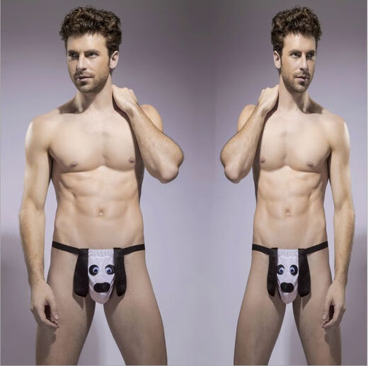 Sexy and interesting men's underwear, sexy and physiological penis, funny and funny thong, zodiac sign, g045 black big cock, one size fits S-XXXL