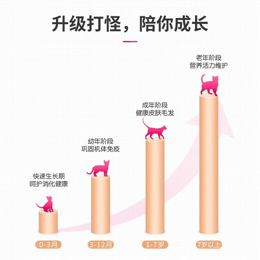 Metz Cat Aliments à viande fraîche sans céréales Prix de chat Prix de chat 20 Jin [Jin est égal à 0,5 kg] Aliments à chats à un stade complet 10 kg, aliments pour chats à un stade complet 3 kg