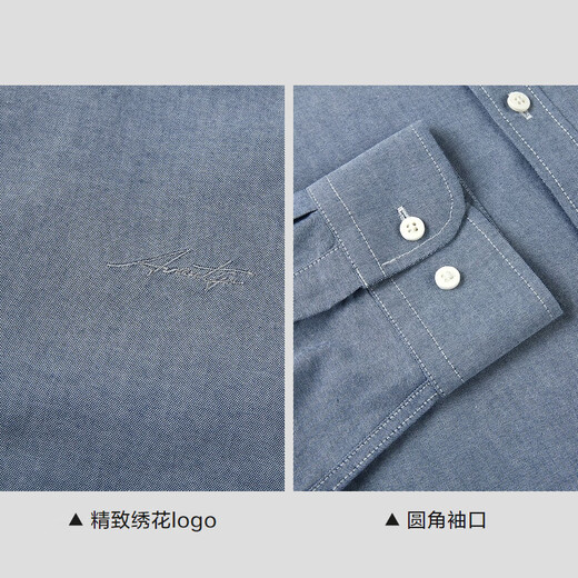 HLA Heilan long-sleeved shirt for men spring 25 light business fashion pure cotton shirt for men