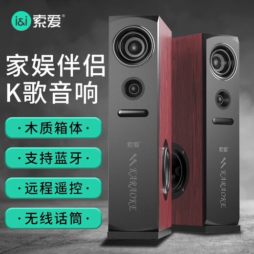索爱（soaiy）K25家庭影院KTV音响蓝牙电视客厅会议环绕家用卡拉OK低音炮K歌唱歌组合落地音箱 K22家庭KTV音响+双话筒