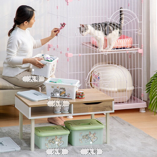 IRIS Portable Small Items Plastic Storage Box Organizing Storage Box Jewelry Box Cosmetic Storage Box Desktop Storage Box 8.2L (32.8*22*17cm) Green