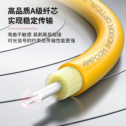 安普康（AMPCOM） 电信级光纤跳线LC单模单芯双芯SC 9/125低烟无卤环保外被收发器FC尾纤 电信阻燃级LC-FC单模双芯2.0 1米