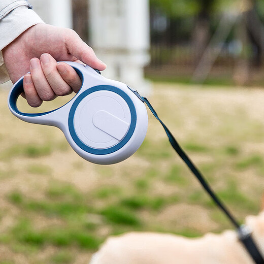 Jiashigao dog chain dog walking leash automatic telescopic leash chain medium and large dog Teddy golden retriever supplies blue and white - 5 meters