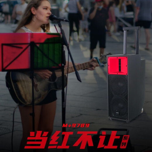 万利达（Malata）M+9788A音响当红不让新9789户外K歌音箱广场舞音响大功率无线蓝牙便携声卡音响带冷漠CQA无线麦克 M+9789+点歌机+四支话筒