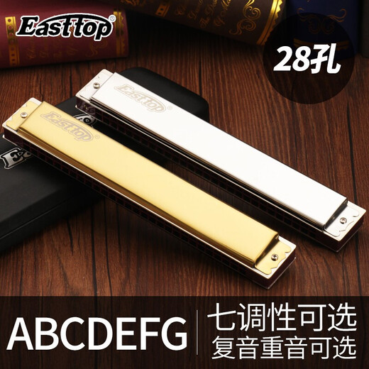 Easttop德国原装进口口琴高级成人24孔专业演奏级28孔复音CAFG调初学者套 24孔 复音银色【12调套装】