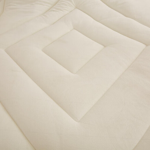 Antarctic (home) Class A milk velvet embroidered quilt in winter thickened warm quilt in winter college dormitory single quilt core quilt beige [3 seconds speed 150x200cm [Spring and autumn quilt about 4 Jin [Jin equals 0.5 kg]]