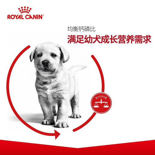 ROYAL CANIN Royal Canin Dog Food Puppy Food A3 Suitable for dogs aged 1-12 months A3 General Puppy Food 8KG*2