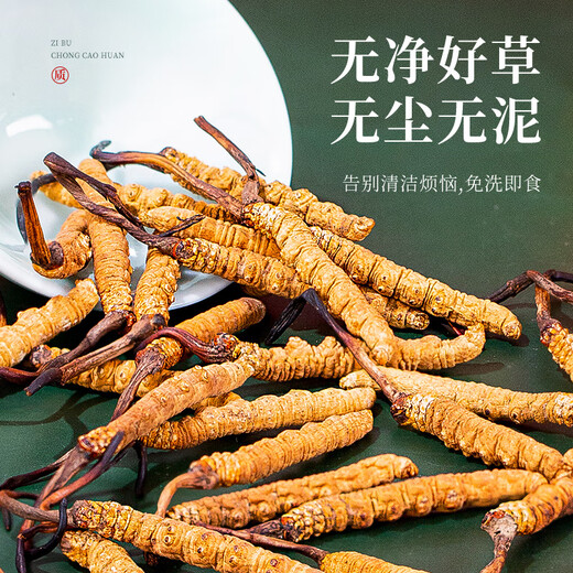 Tongfu Cordyceps sinensis 3 Roots/G 1G Paquete. El primer período de nuevos productos secos Cordyceps sinensis de alta calidad sin interrupción.